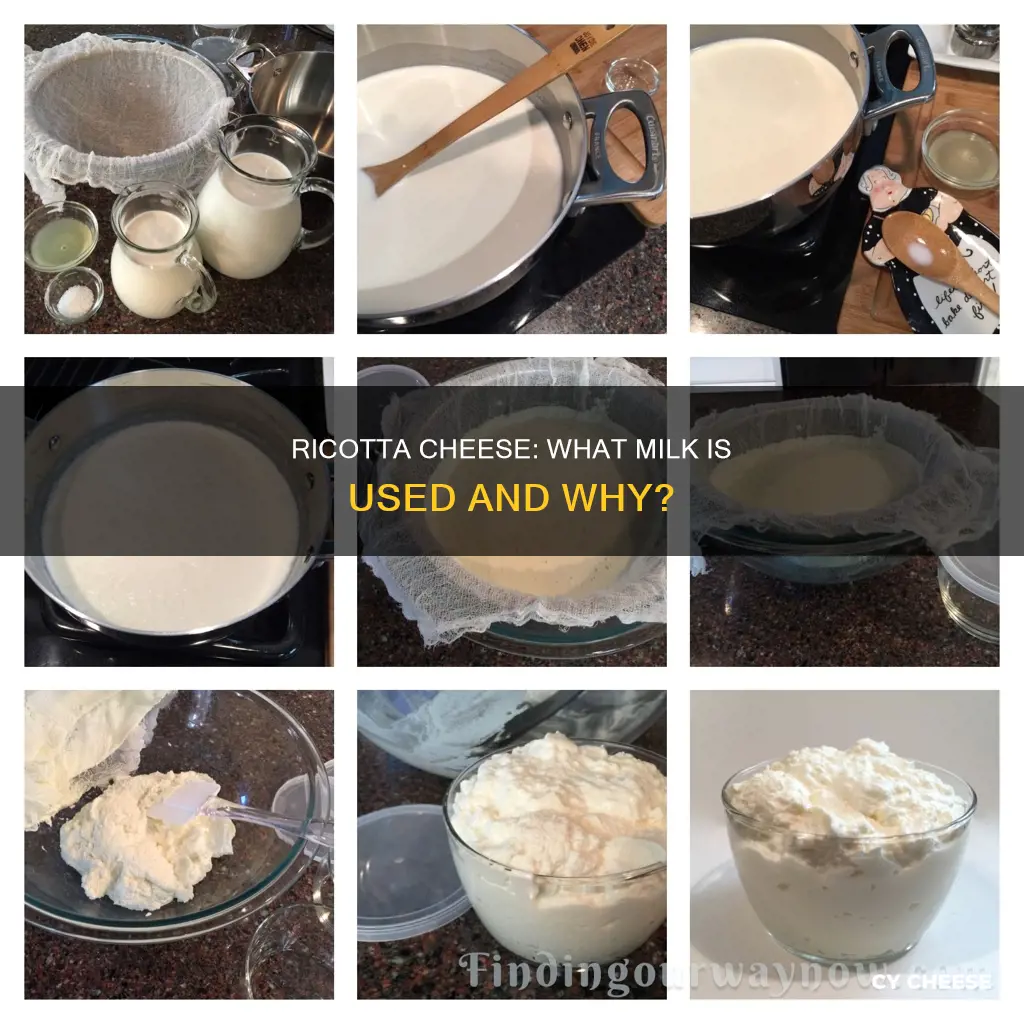 what kind of milk is ricotta cheese made from