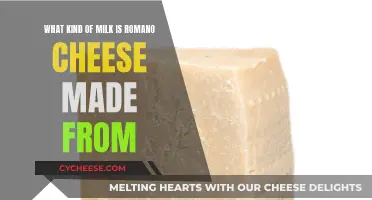 Romano Cheese: What Milk Is Used and Why?
