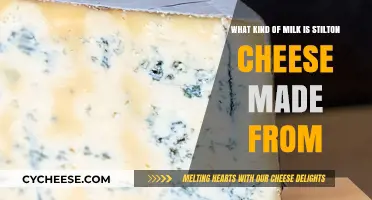 Unveiling Stilton's Milk Mystery: A Cheesy Journey