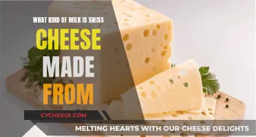 The Milk Behind Swiss Cheese: A Dairy Exploration