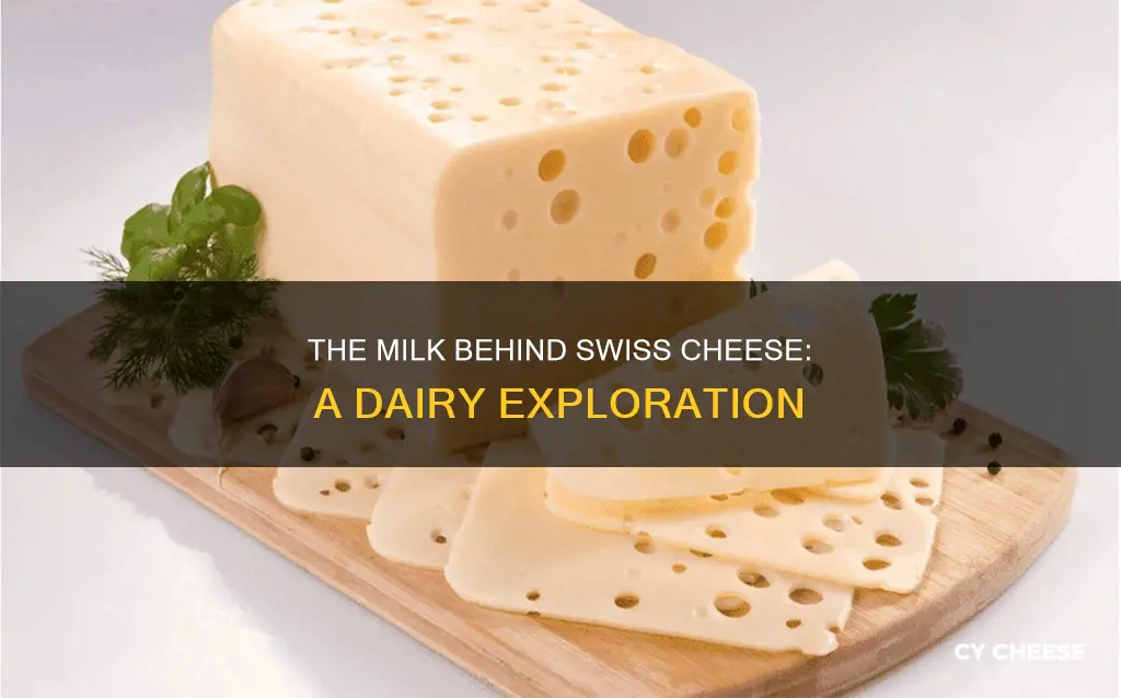 what kind of milk is swiss cheese made from