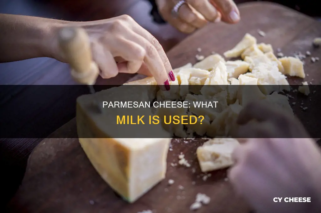 what kind of milk is used to make parmesan cheese