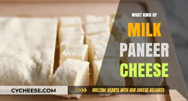 Paneer Milk Cheese: Exploring the Perfect Blend