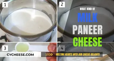 The Magic of Milk: Making Paneer and Cheese
