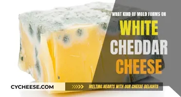 Mold on White Cheddar: Types and Dangers