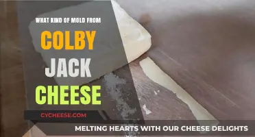 Unveiling the Mold Mystery: Colby Jack's Cheesy Secrets