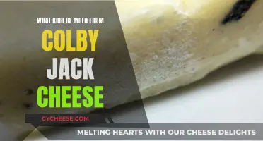 Colby Jack Cheese: Identifying and Preventing Mold Growth
