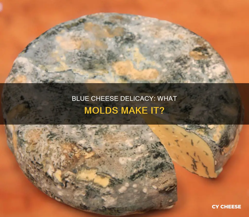 what kind of mold grows in blue cheese