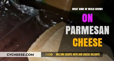 The Surprising Mold on Your Parmesan: A Cheesy Discovery