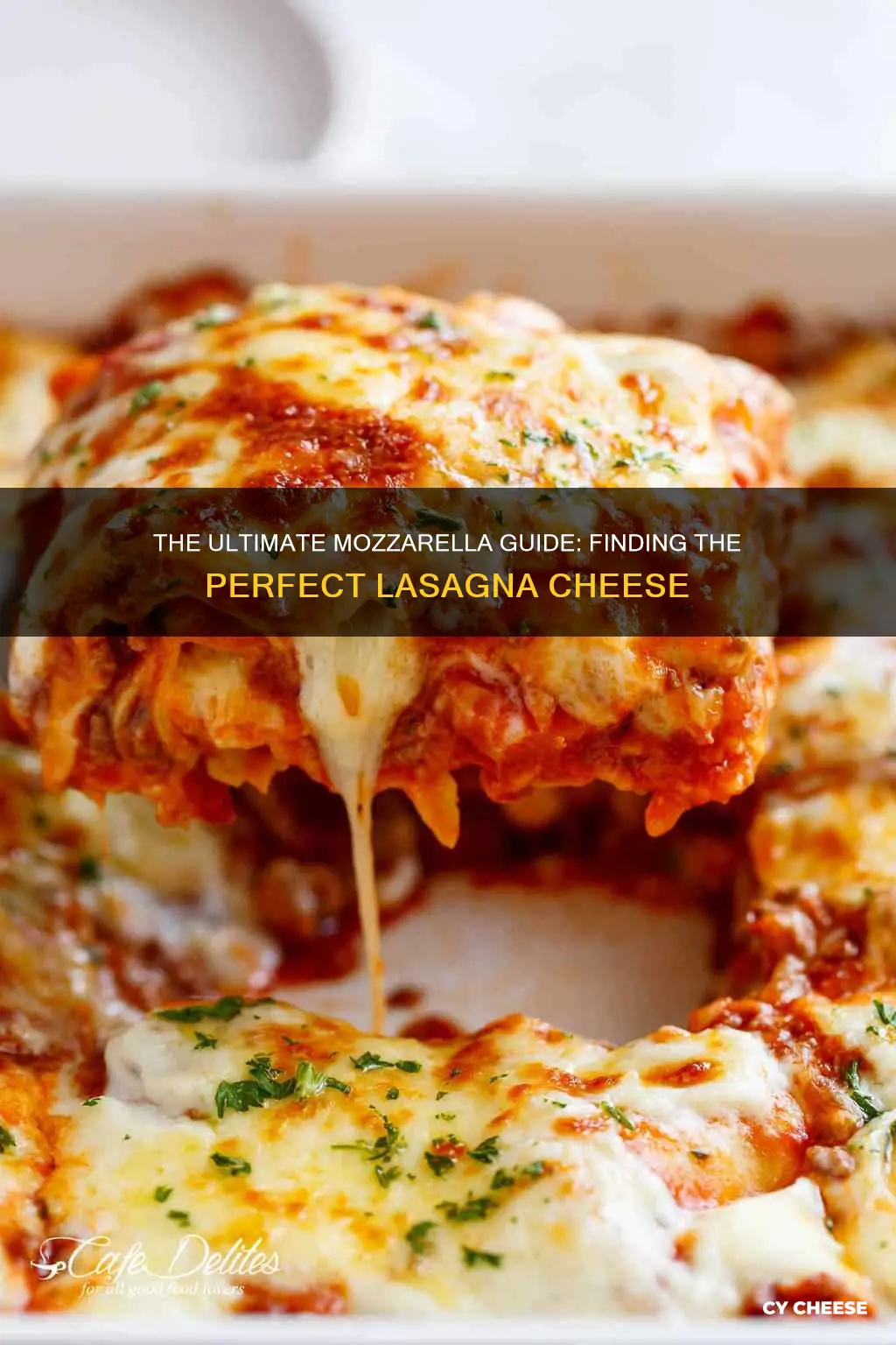 what kind of mozzarella cheese is best for lasagna