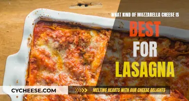 Mozzarella for Lasagna: Fresh, Soft, and Melty