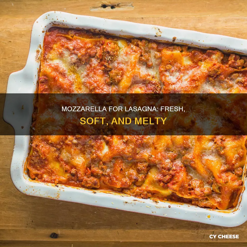 what kind of mozzarella cheese is best for lasagna