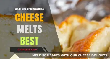 The Ultimate Mozzarella Melting Guide: Best Choices Revealed