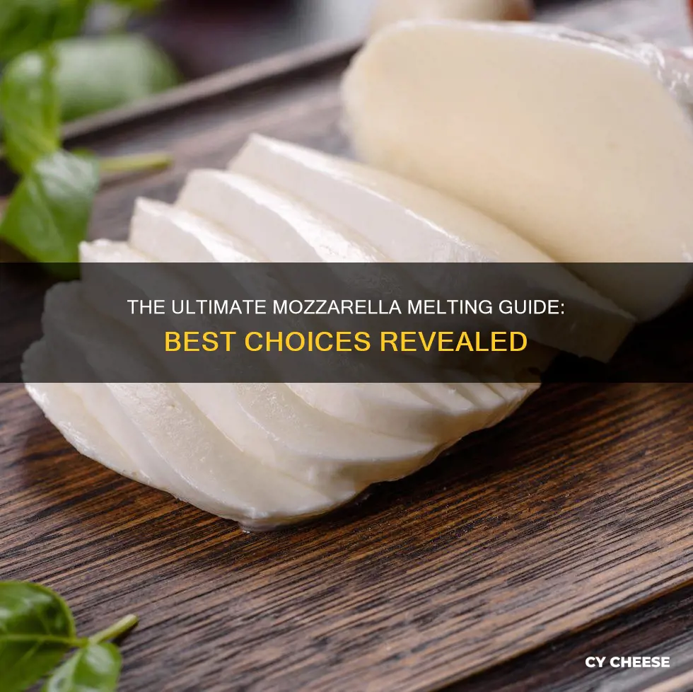 what kind of mozzarella cheese melts best