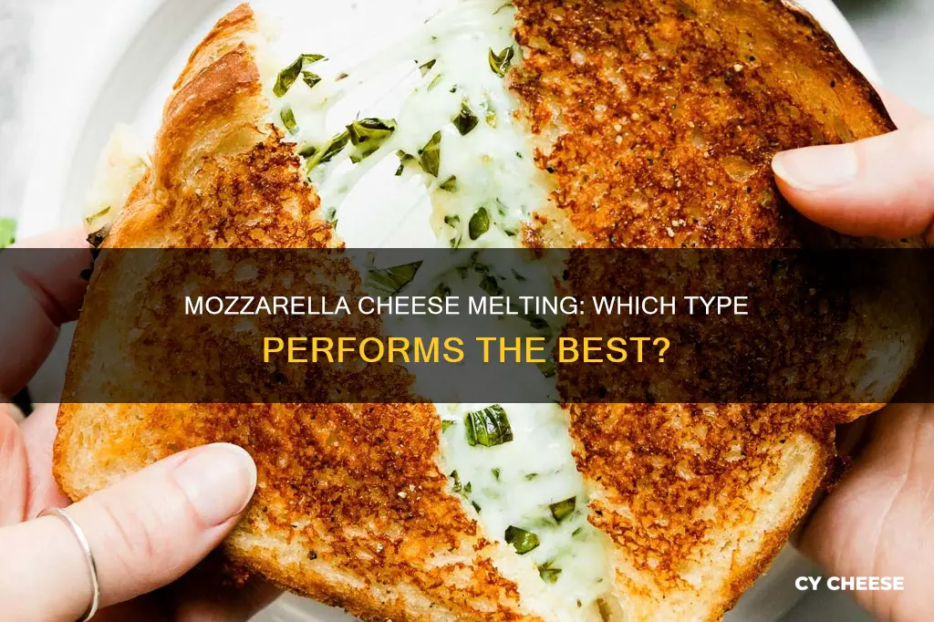 what kind of mozzarella cheese melts best
