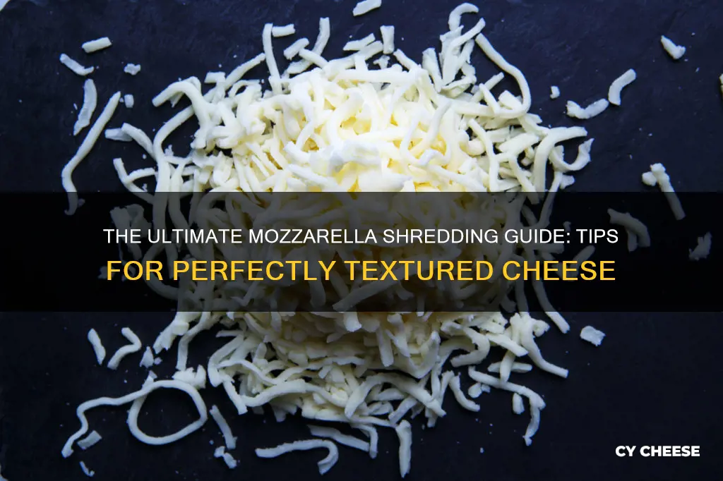 what kind of mozzarella cheese shreds