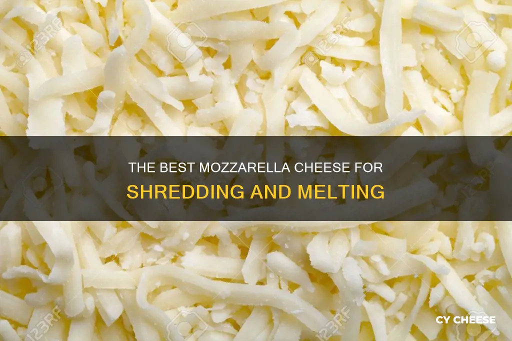 what kind of mozzarella cheese shreds