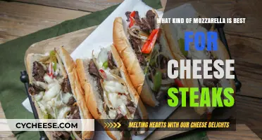 The Ultimate Mozzarella Match: Cheesesteak Edition