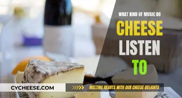 Cheese's Music Taste: A Musical Adventure for Cheese Connoisseurs
