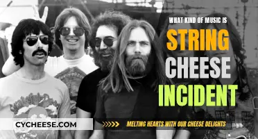 String Cheese Incident: A Musical Melting Pot