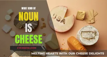 The Cheesy Grammar Conundrum: What's the Noun Type of Cheese?