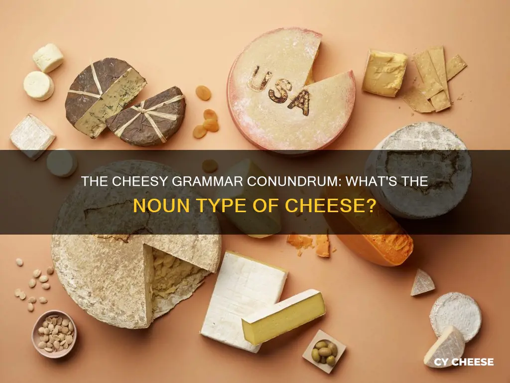 what kind of noun is cheese