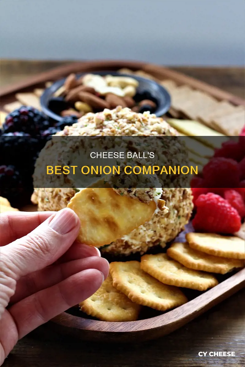 what kind of onion goes in cheese ball