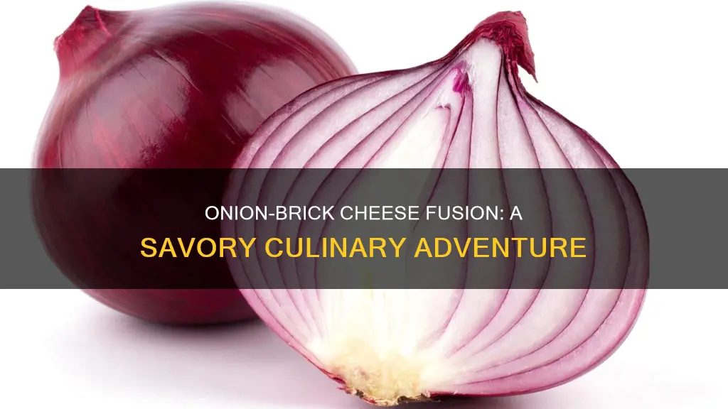 what kind of onions with aged brick cheese