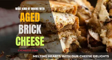 Onion and Aged Brick Cheese: A Perfect Pairing?