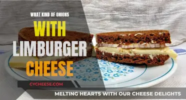Best Onions to Pair with Limburger Cheese