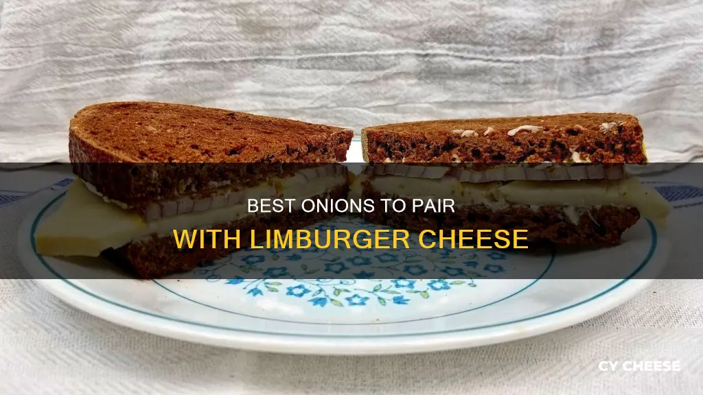 what kind of onions with limburger cheese