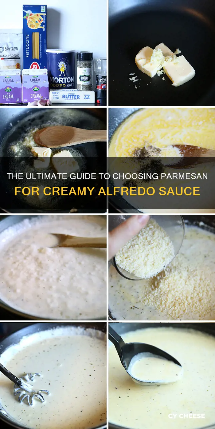 what kind of parmesan cheese for alfredo