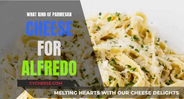 The Best Parmesan Cheese for a Perfect Alfredo Sauce