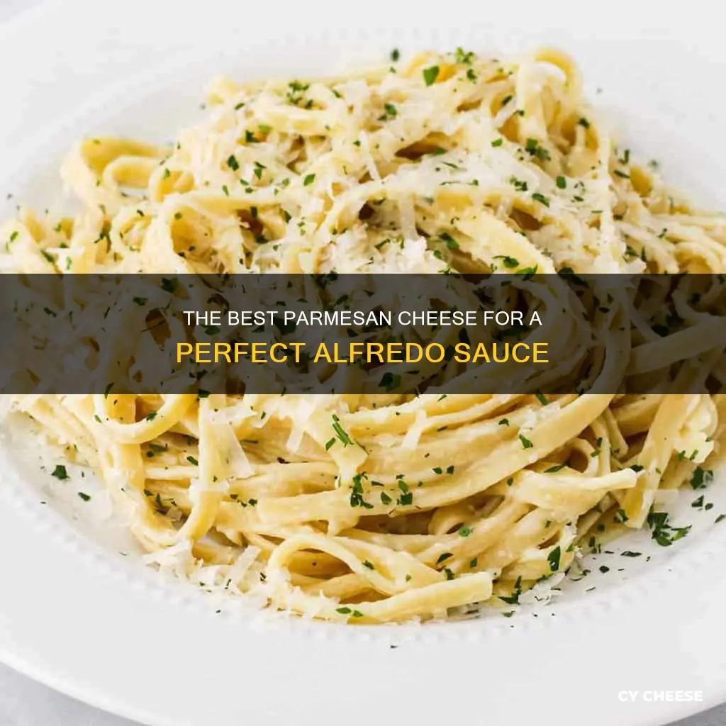 what kind of parmesan cheese for alfredo
