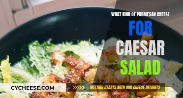 The Best Parmesan Cheese for Caesar Salad