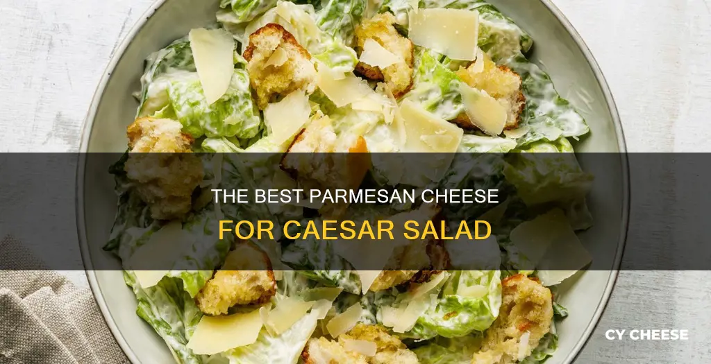 what kind of parmesan cheese for caesar salad