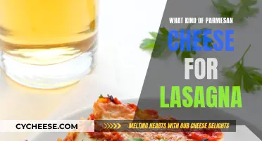 Parmesan Cheese for Lasagna: The Best Varieties to Use