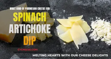 Best Parmesan Cheese for Spinach Artichoke Dip