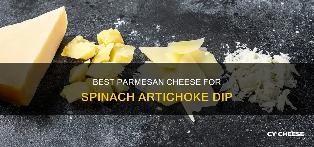 what kind of parmesan cheese for spinach artichoke dip