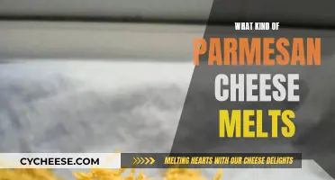 Best Parmesan Cheese for Melting: A Guide