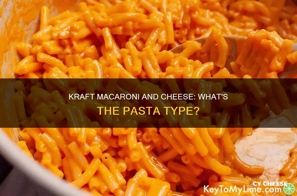 what kind of pasta is in kraft macaroni and cheese
