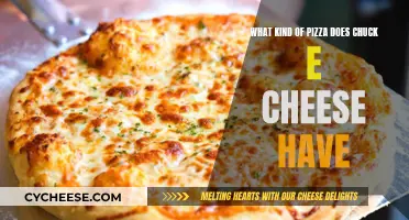 Chuck E. Cheese's Pizza: A Comprehensive Guide