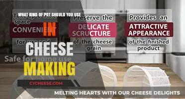 Cheese-Making Pots: Choosing the Right Container
