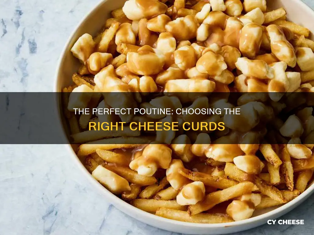 what kind of poutine cheese curds