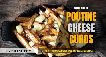 The Best Cheeses for Poutine: Curds and All