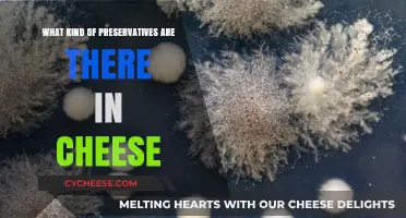 Exploring the Preservative World: Types of Preservatives in Cheese