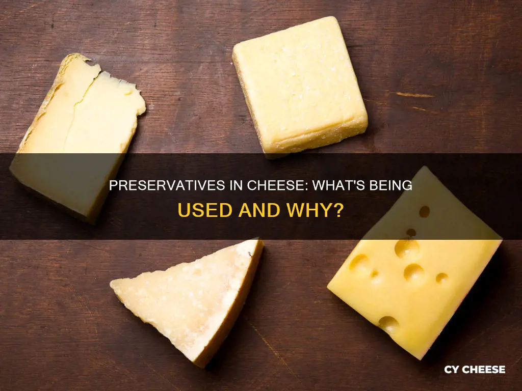 what kind of preservatives are there in cheese