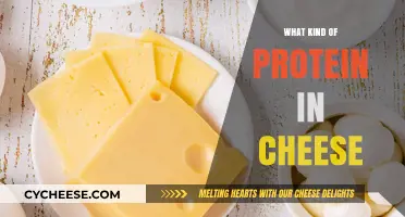 Unraveling the Protein Mystery: Cheese's Secret Ingredient