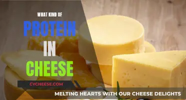 The Protein Profile of Cheese