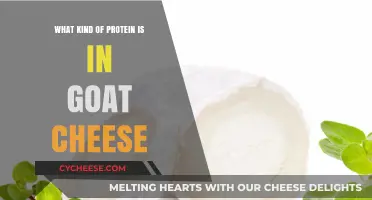 Unveiling the Protein Power: Goat Cheese's Nutritional Secrets